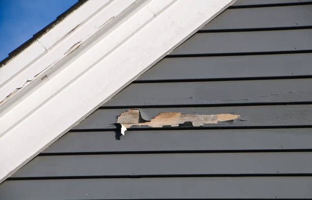 Affordable Siding Repair and Maintenance Services in Reidsville, GA